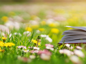 Tips for Preventing a Springtime Attendance Dip