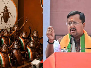 स्प्लिट इमेज: बाईं ओर तिरंगे रंग के सैश पहने कॉकरोच के खिलौने, और दाईं ओर पोडियम पर भाषण देते हुए एक राजनेता।
