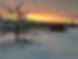 coop winter.jpg