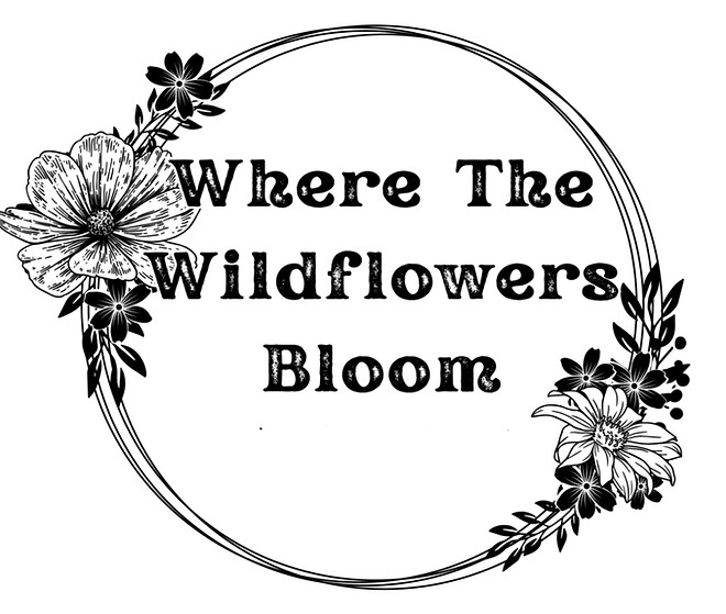 WTWB Logo_edited_edited_edited_edited_ed