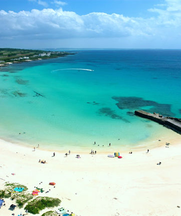dji_fly_20221020_123440_580_1666237175726_photo_edited.jpg