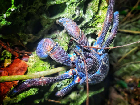 ナイトツアー&星空撮影