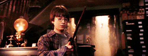 giphy (4).gif