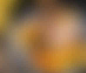 Les pancakes au kiwi et kak