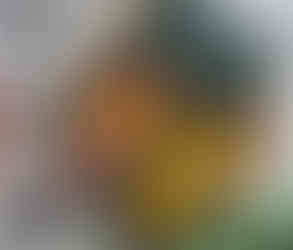 La tortilla aux champignons, semoule de chou-fleur et carottes, figues rôties