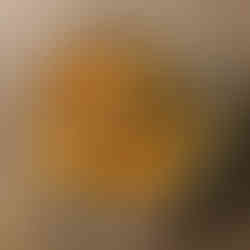 Les pâtes aux carottes