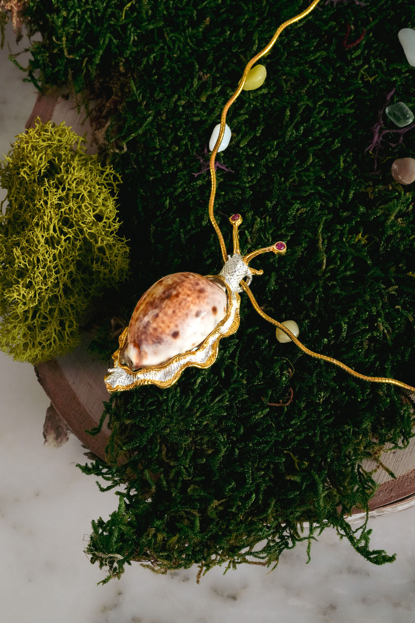 Cowrie Snail Brooch