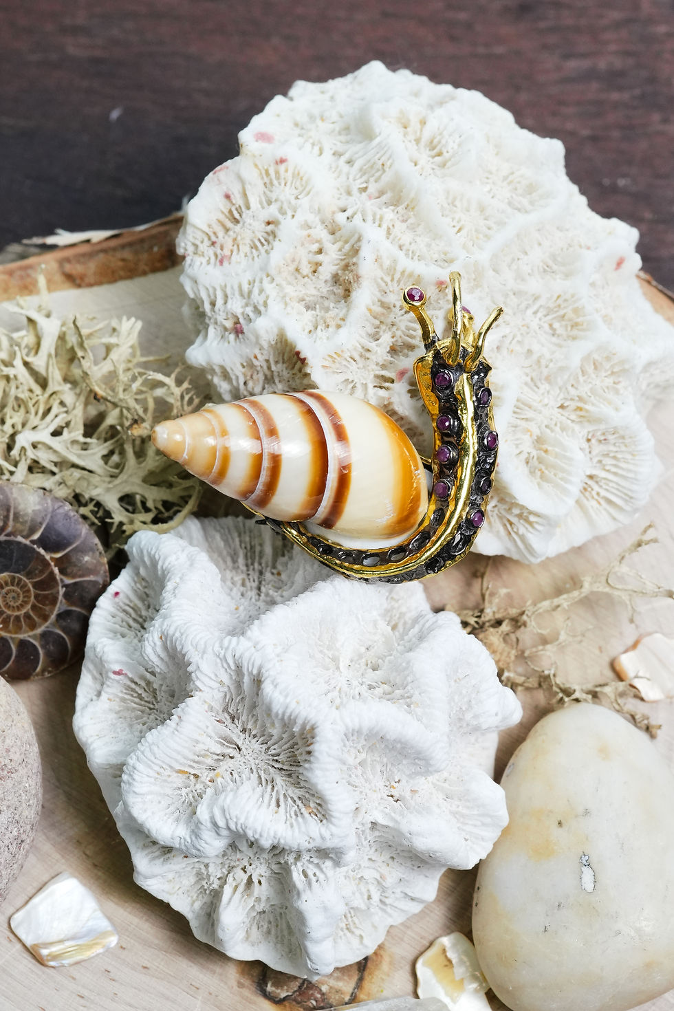 Thumbnail: Mollusk Brooch