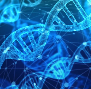 An Introduction to Systems Biology