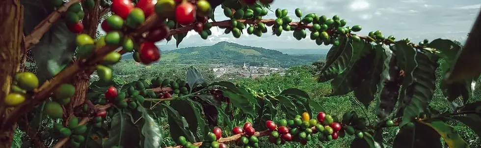 ruta-eje-cafetero-colombia.webp