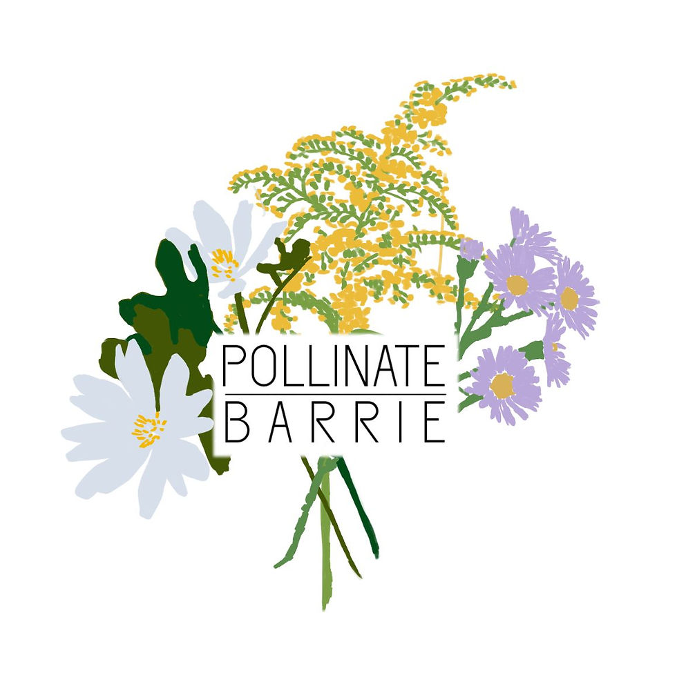 Pollinate Barrie