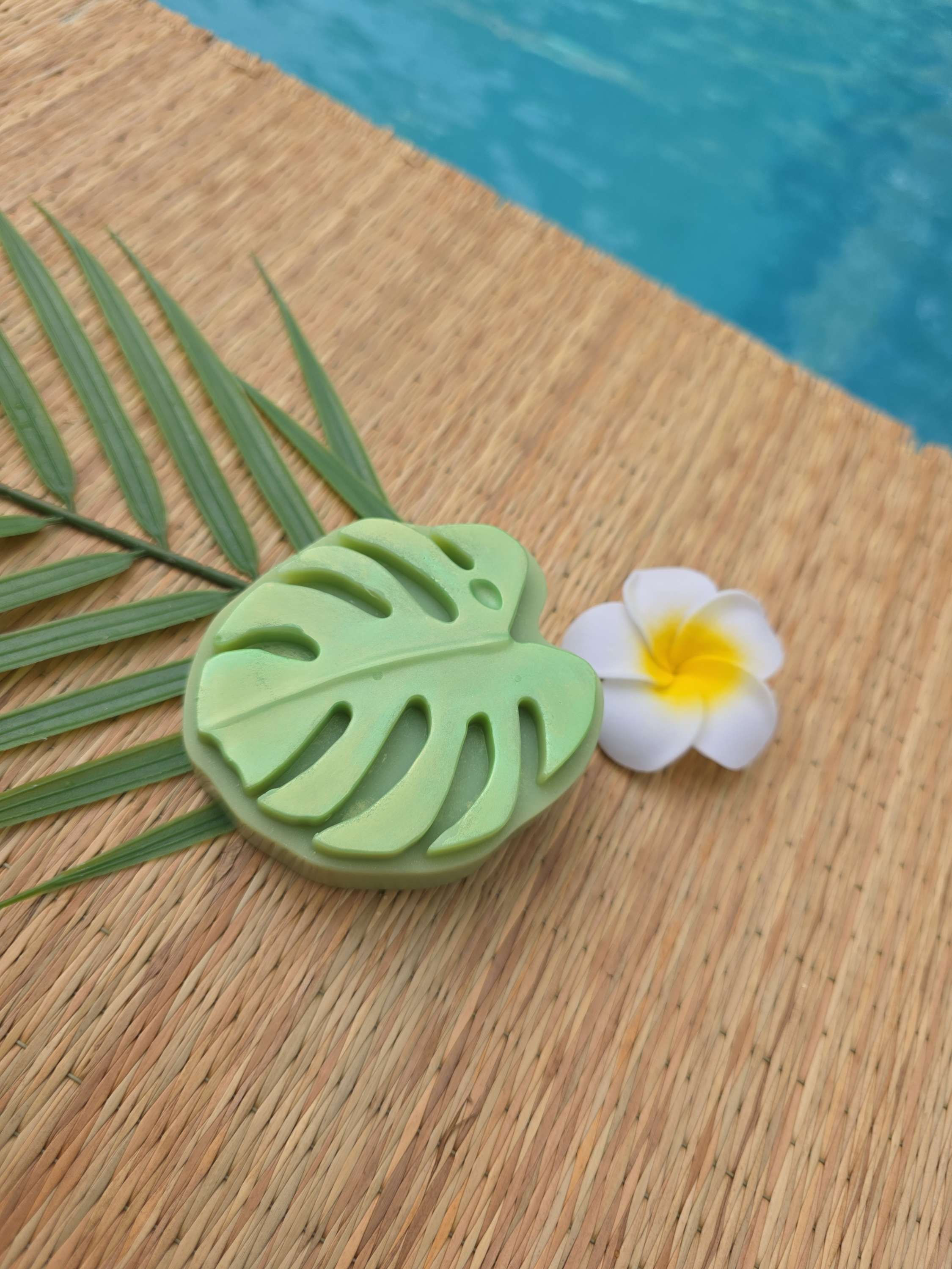 savon naturel monstera, delicathe