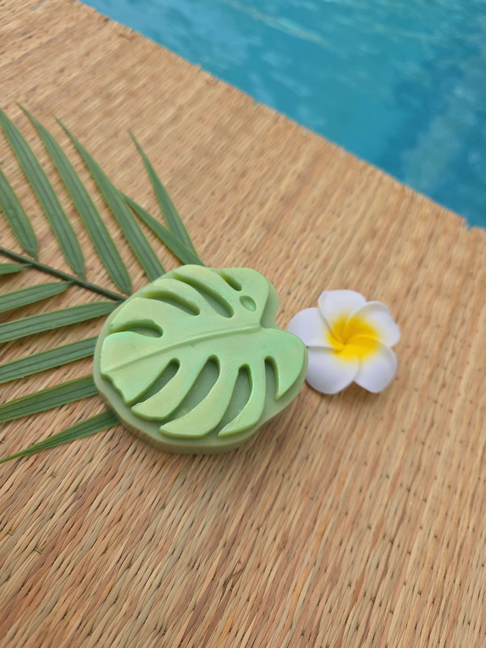 savon naturel monstera, delicathe