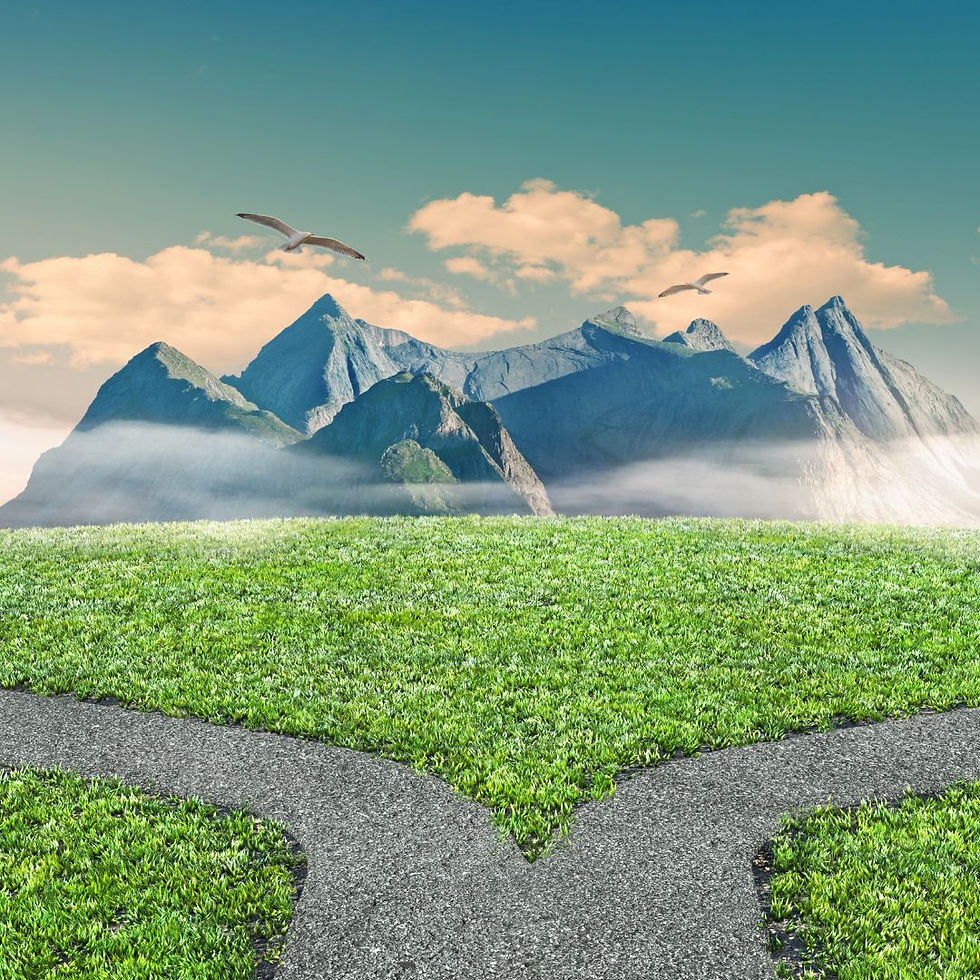 Pick your path: financial growth or same old same old