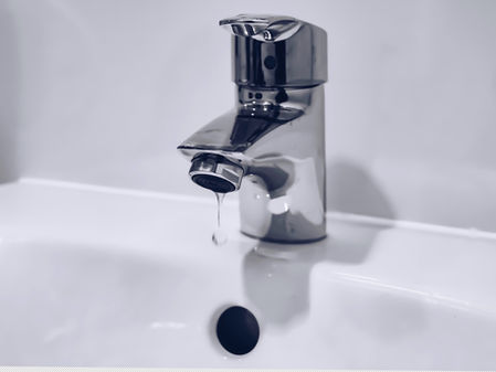 What the heck is leaky gut?