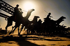 Camel-Cup-Day-1-Alula-Moments-14-03-23-MM-_6MM7099-scaled.jpg