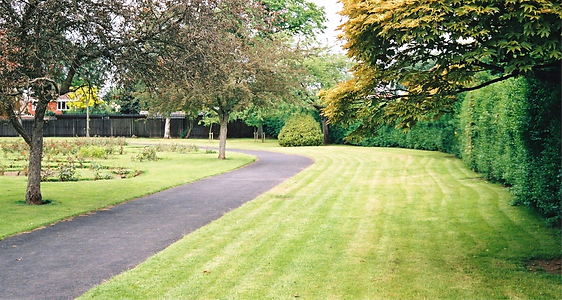 GREENSPACE