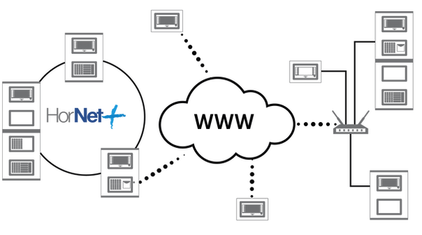 network 2.png