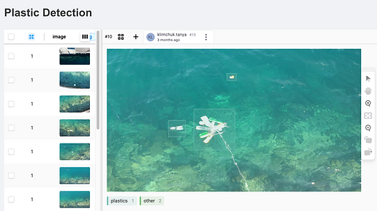 object_detection_annotation_with_title_screenshot.png