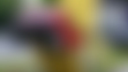 Le Whiplash : Cette maladie systémique