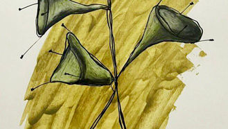 DENNY CANDOTTO: Forma, luce e tensione dello spazio