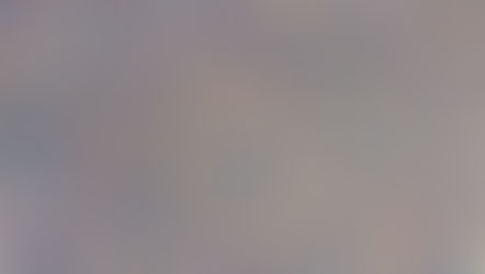 Il segno che cura: l’universo mandalico di Silvia Dal Pane