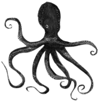 Intricate Octopus Illustration