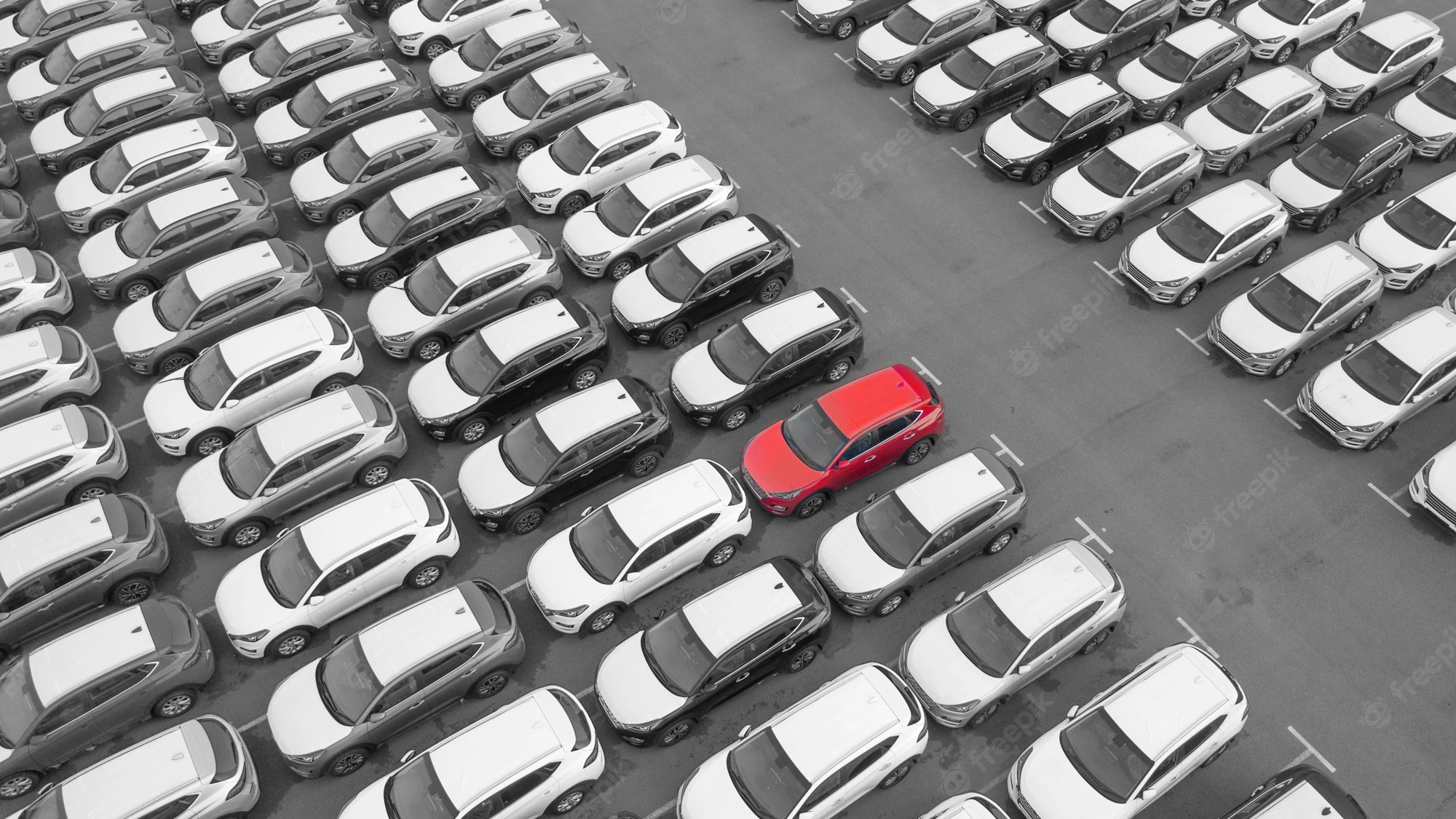 dealer-lot.webp