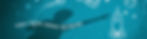 BannerSup.jpg
