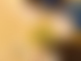 Nuevo taller para descubrir la historia del arte a través de la imagen en la Escuela Galgo Flaco