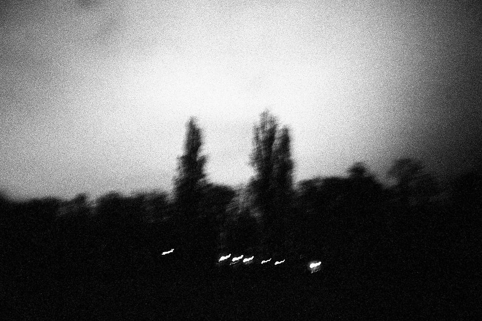 Lyon #3 - Jerome Micheletti