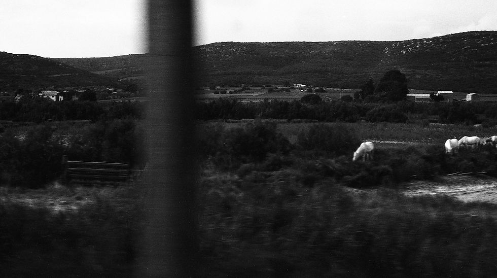 Window Train #7 - Jerome Micheletti