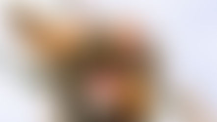 Un Mariage à l'Eco domaine de Pornic - partie 2