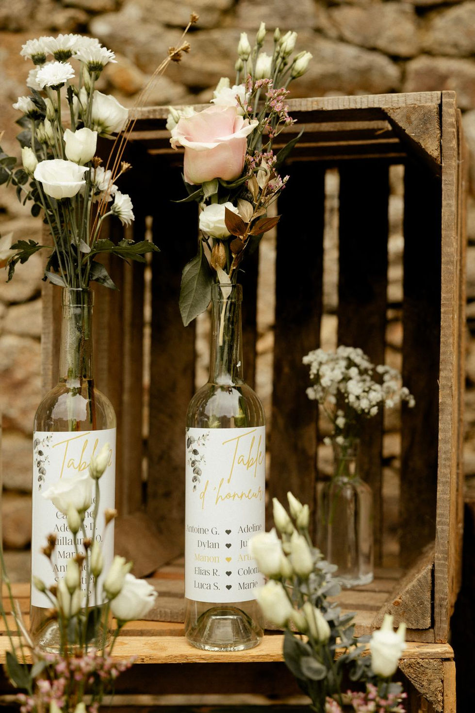 WhatsApp Image 2025-12-08 at 17.01.26 (1).jpeg