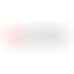 声明文