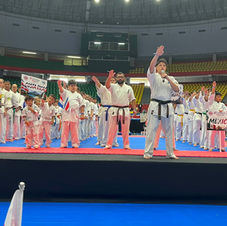 コパアメリカ大会