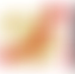 「型」空手道選手権大会・記念Tシャツ販売