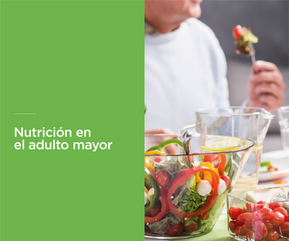 Nutrición en el adulto mayor