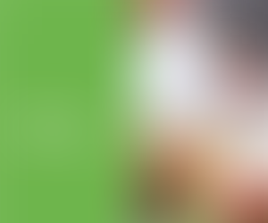 Nutrición en el adulto mayor