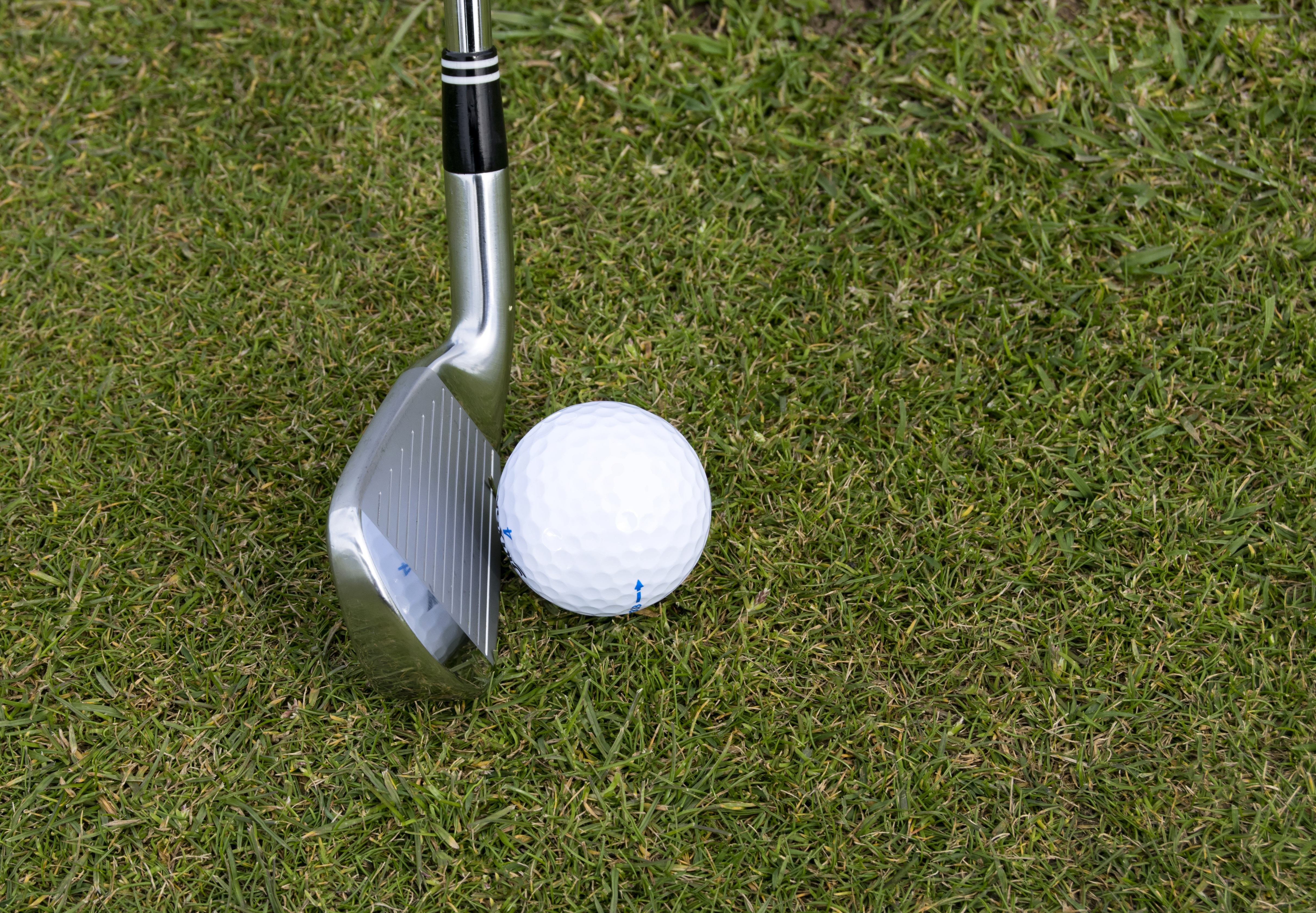 Golf club and ball on a green grassy field.