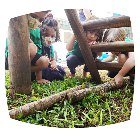 A importância do brincar na natureza para crianças