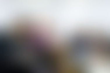 Vestibulares, escolha da carreira e a Escola da Vila