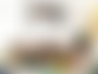 Os papéis dos professores