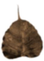PAIKKA brown leaf