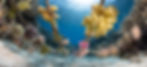 DSC02616 (1),_edited_edited.jpg
