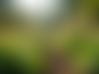 The Importance of Sustainable Living in Today's World