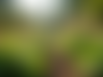 The Importance of Sustainable Living in Today's World