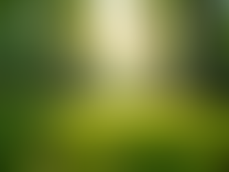 The Importance of Sustainable Living in Today's World