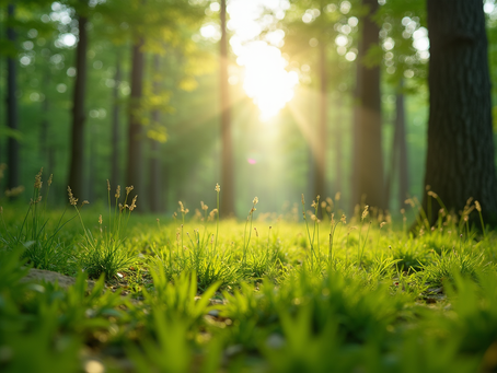 The Importance of Sustainable Living in Today's World