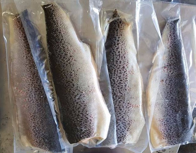 Salmon_fillets_Chile